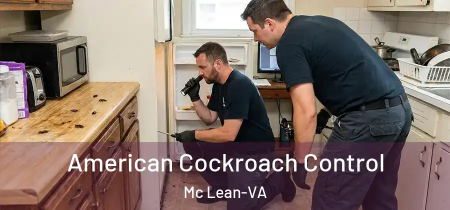 American Cockroach Control Mc Lean-VA