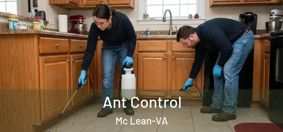  Ant Control Mc Lean-VA
