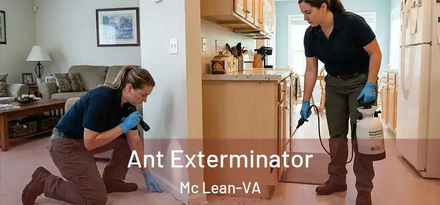  Ant Exterminator Mc Lean-VA