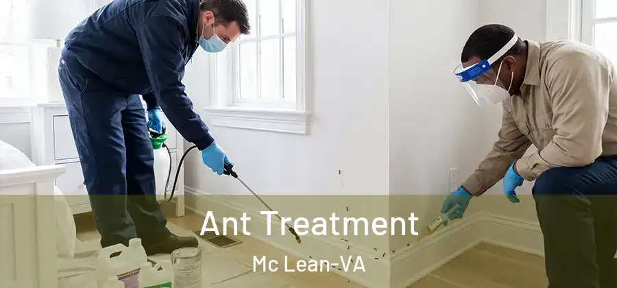 Ant Treatment Mc Lean-VA