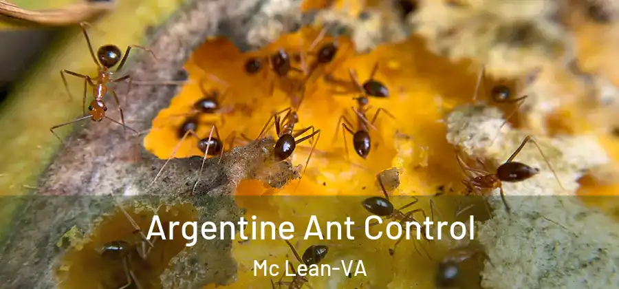 Argentine Ant Control Mc Lean-VA