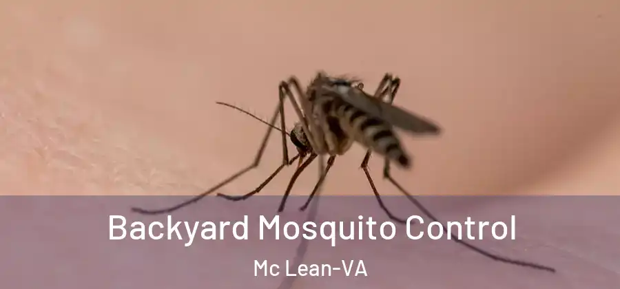 Backyard Mosquito Control Mc Lean-VA