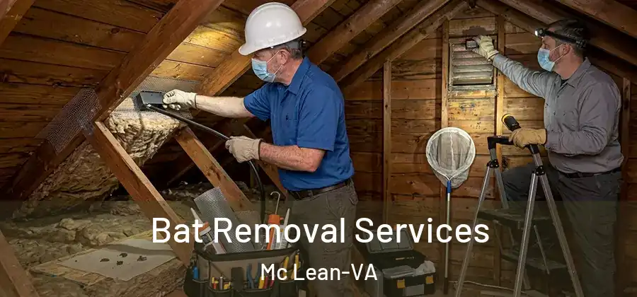 Bat Removal Services Mc Lean-VA