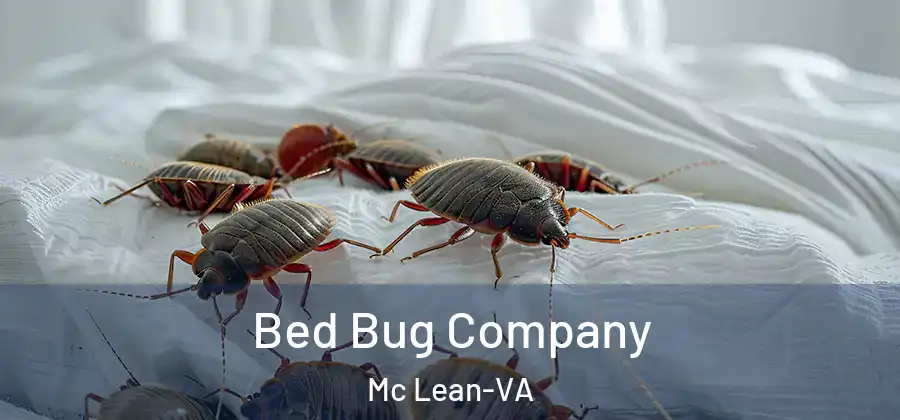 Bed Bug Company Mc Lean-VA