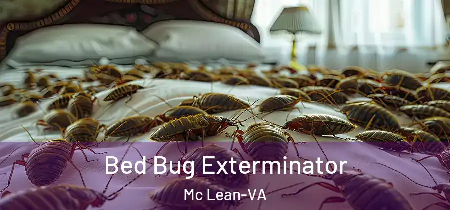 Bed Bug Exterminator Mc Lean-VA