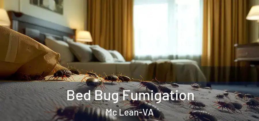 Bed Bug Fumigation Mc Lean-VA