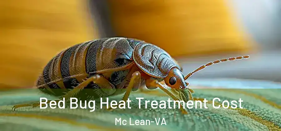  Bed Bug Heat Treatment Cost Mc Lean-VA