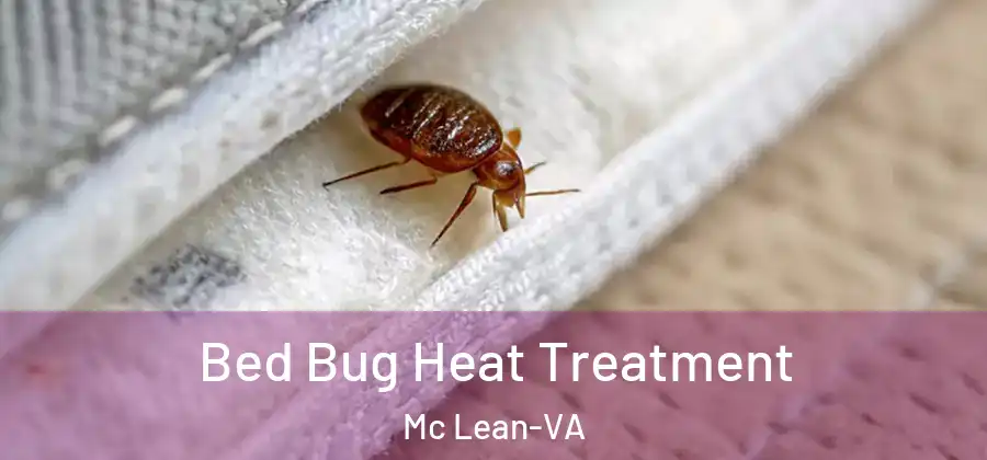  Bed Bug Heat Treatment Mc Lean-VA