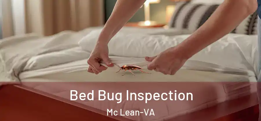 Bed Bug Inspection Mc Lean-VA