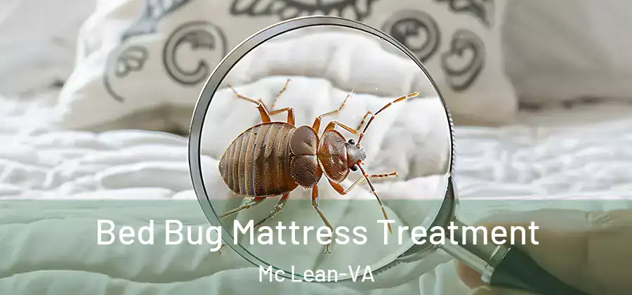 Bed Bug Mattress Treatment Mc Lean-VA