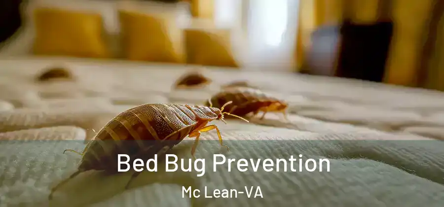 Bed Bug Prevention Mc Lean-VA