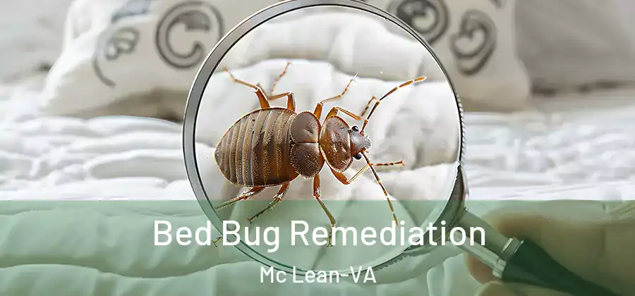 Bed Bug Remediation Mc Lean-VA