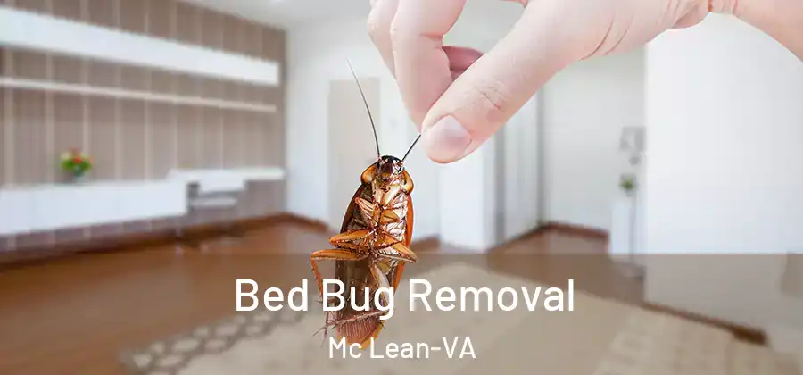 Bed Bug Removal Mc Lean-VA