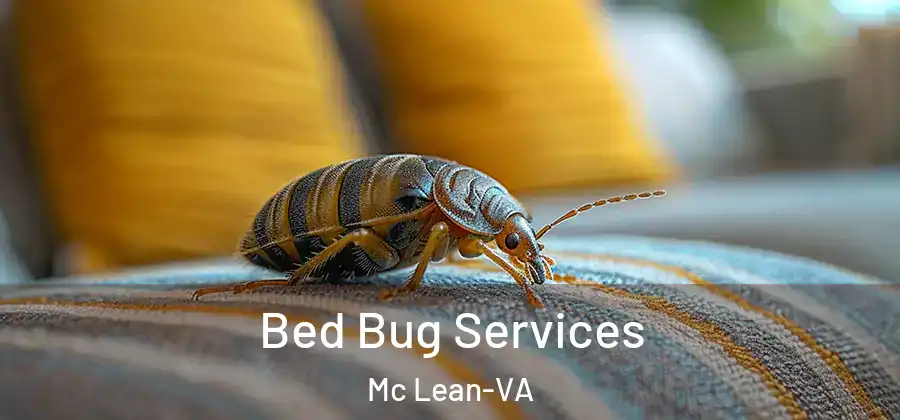  Bed Bug Services Mc Lean-VA