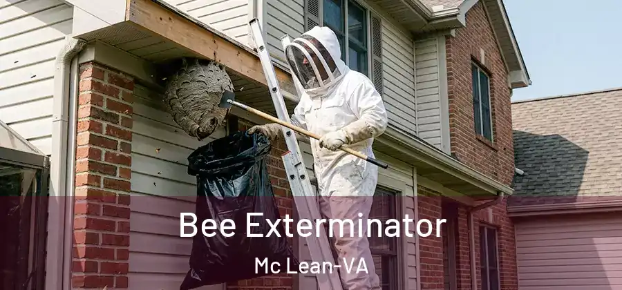  Bee Exterminator Mc Lean-VA