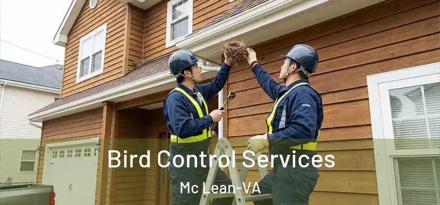 Bird Control Services Mc Lean-VA
