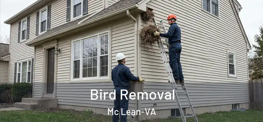  Bird Removal Mc Lean-VA