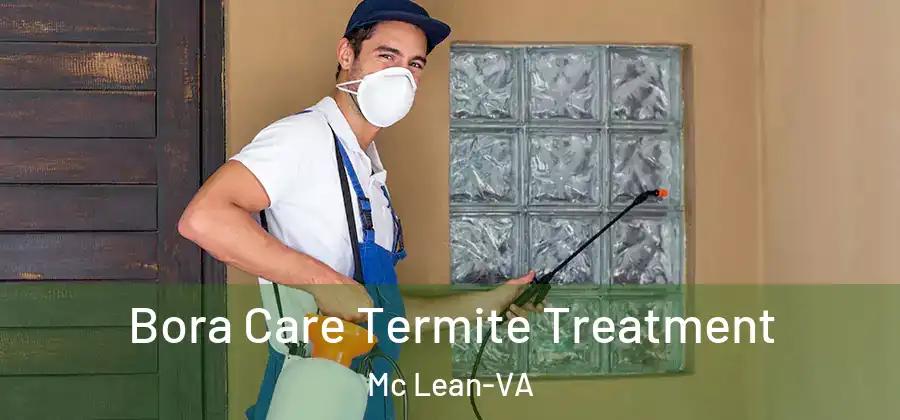 Bora Care Termite Treatment Mc Lean-VA