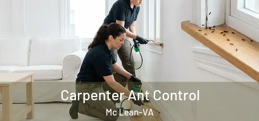 Carpenter Ant Control Mc Lean-VA