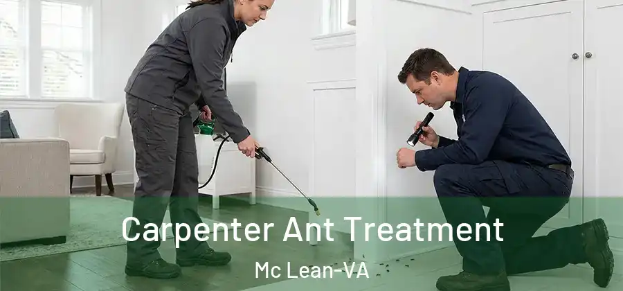  Carpenter Ant Treatment Mc Lean-VA