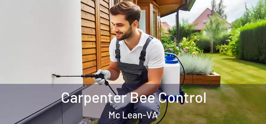  Carpenter Bee Control Mc Lean-VA