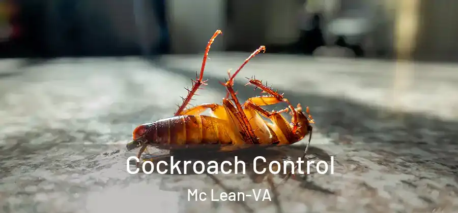 Cockroach Control Mc Lean-VA