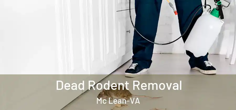 Dead Rodent Removal Mc Lean-VA