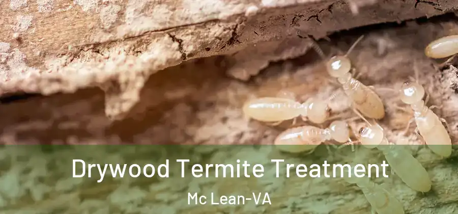 Drywood Termite Treatment Mc Lean-VA