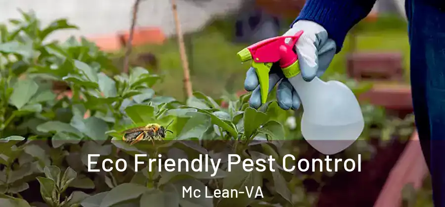 Eco Friendly Pest Control Mc Lean-VA