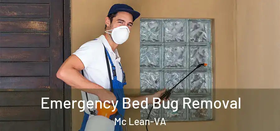 Emergency Bed Bug Removal Mc Lean-VA