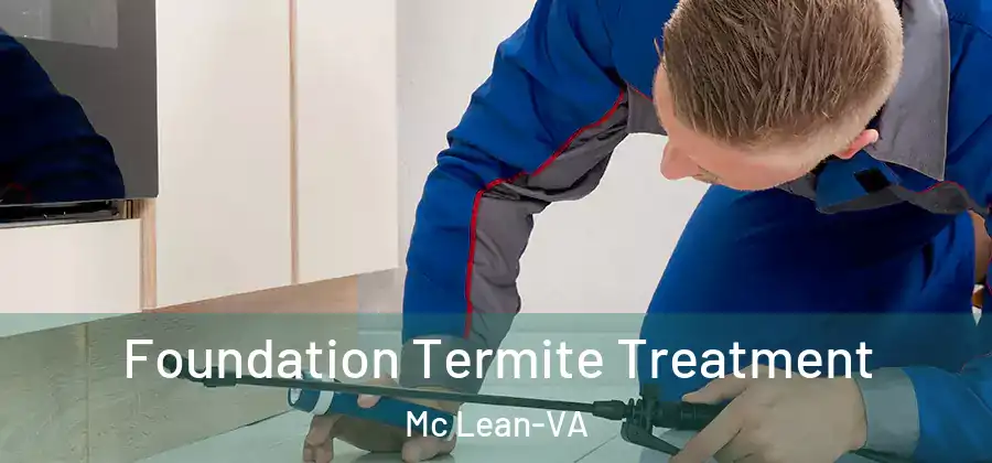 Foundation Termite Treatment Mc Lean-VA