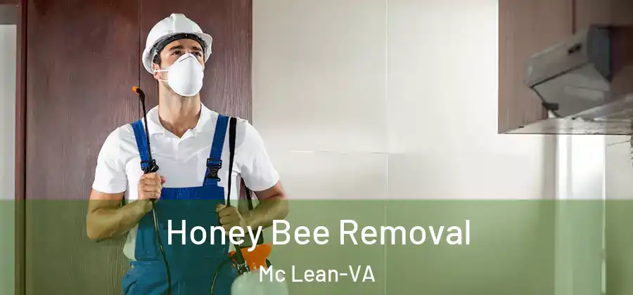  Honey Bee Removal Mc Lean-VA