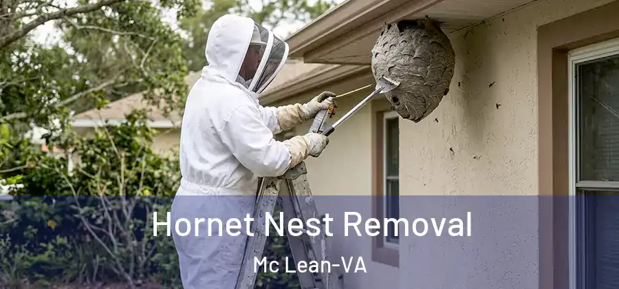  Hornet Nest Removal Mc Lean-VA