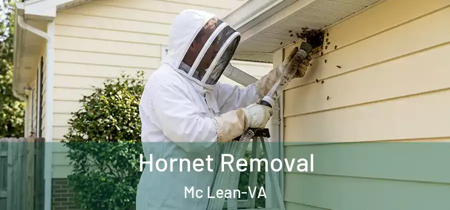 Hornet Removal Mc Lean-VA