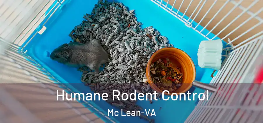 Humane Rodent Control Mc Lean-VA