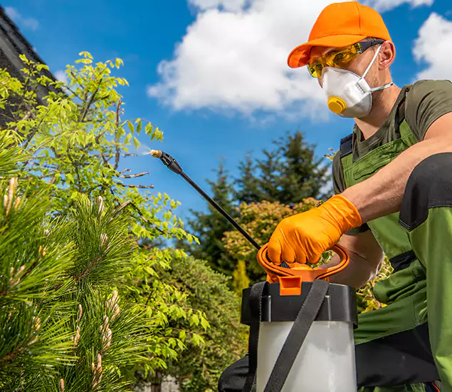 Your Best Bug Spray for Home Team in Mc Lean, VA