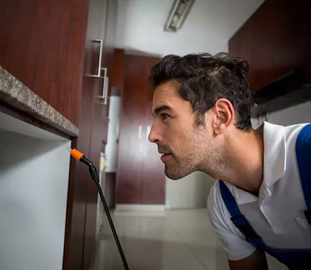 Termite Inspection Cost Experts You Can Trust in Mc Lean, VA