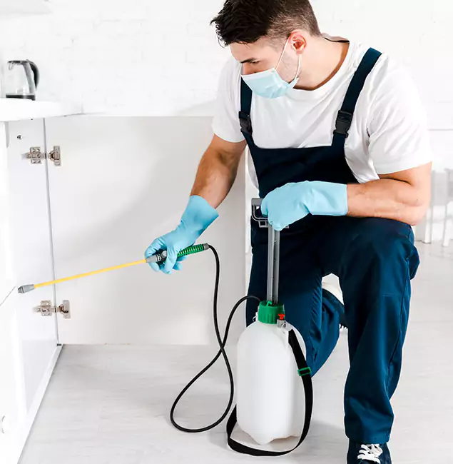 Why Mc Lean, VA Homeowners Trust Us for German Roach Control?
