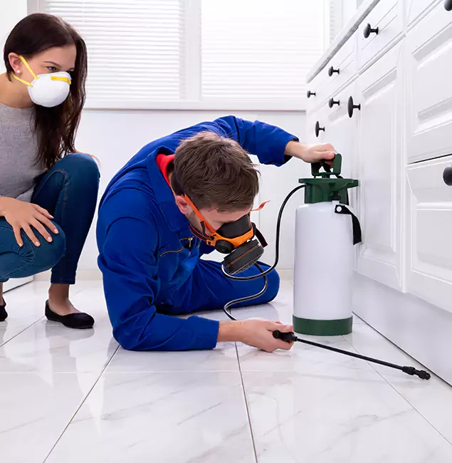 Why Mc Lean, VA Homeowners Trust McLean Pest Control Pro for Roach Control?