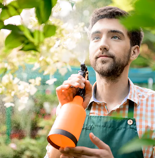Why Mc Lean Homeowners Call McLean Pest Control Pro for Mosquitoes in House?