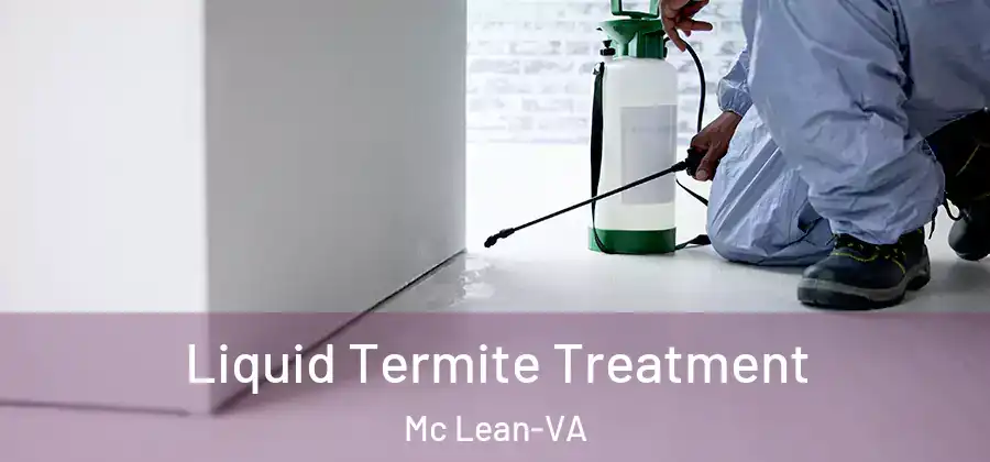 Liquid Termite Treatment Mc Lean-VA