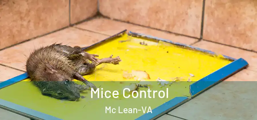  Mice Control Mc Lean-VA