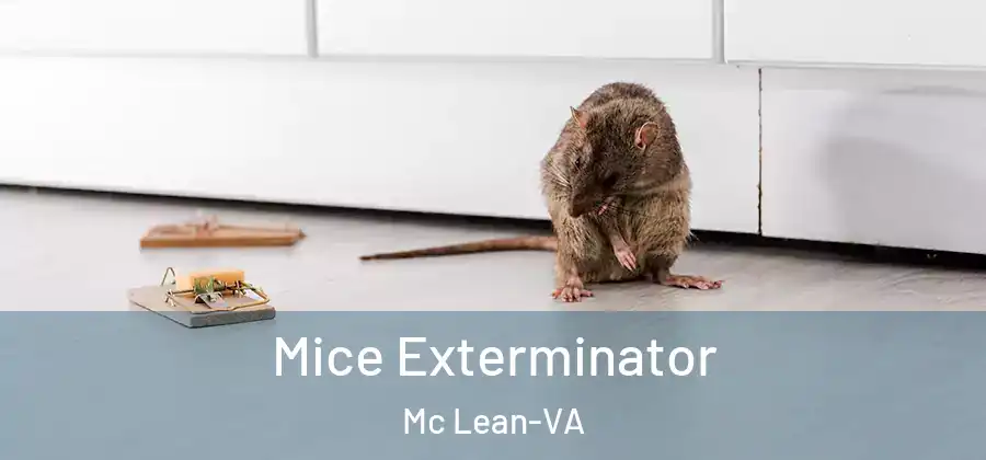 Mice Exterminator Mc Lean-VA