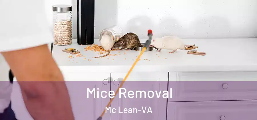 Mice Removal Mc Lean-VA