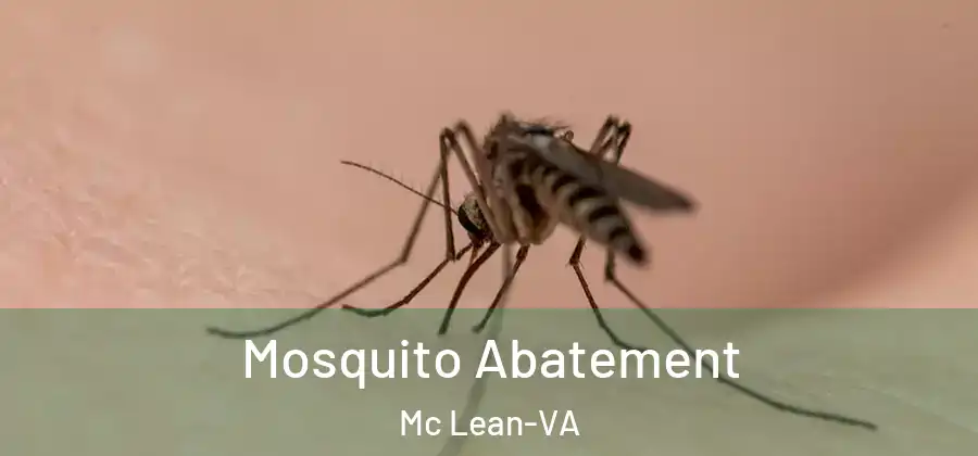 Mosquito Abatement Mc Lean-VA