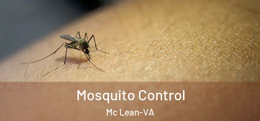  Mosquito Control Mc Lean-VA