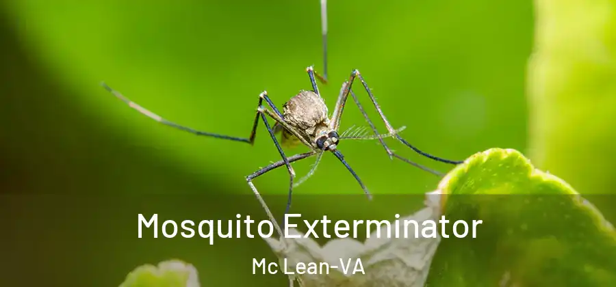 Mosquito Exterminator Mc Lean-VA