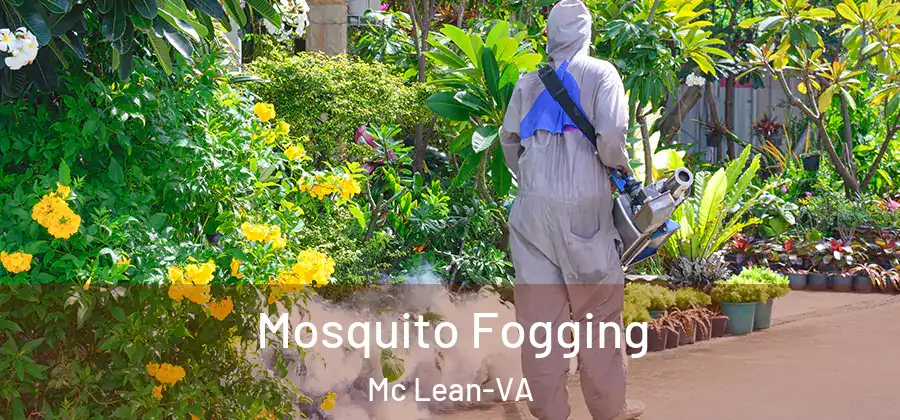 Mosquito Fogging Mc Lean-VA