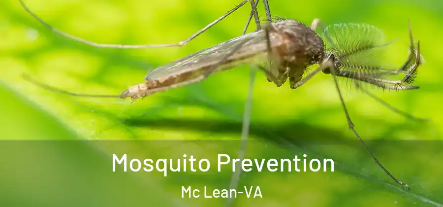 Mosquito Prevention Mc Lean-VA