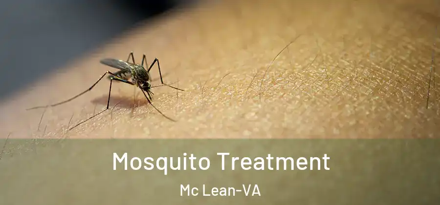  Mosquito Treatment Mc Lean-VA